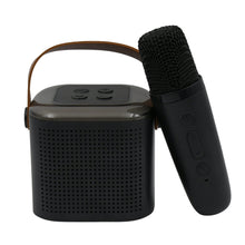 12669 wireless speaker microphone set