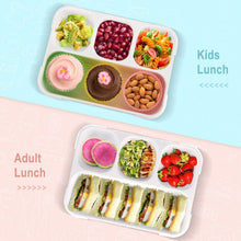 5212 4compartment lunch box