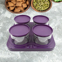 5550 4pc storage container n tray