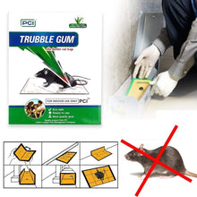 247 pci cardboard troublegum small size mouse trap 1pc