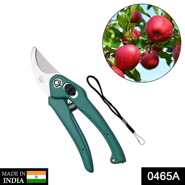 Garden Shears Pruners Scissor for Cutting Branches, Flowers, Leaves, Pruning Seeds F4Mart