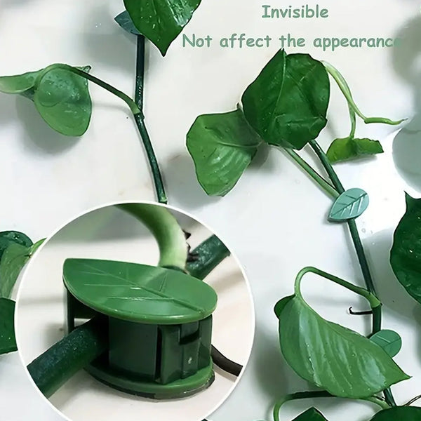plant-climbing-wall-fixture-clip-self-adhesive-hook-vines-traction-invisible-stand-green-plant-clip-garden-wall-clip-plant-support-binding-clip-plants-for-indoor-outdoor-decoration-30-pcs-set