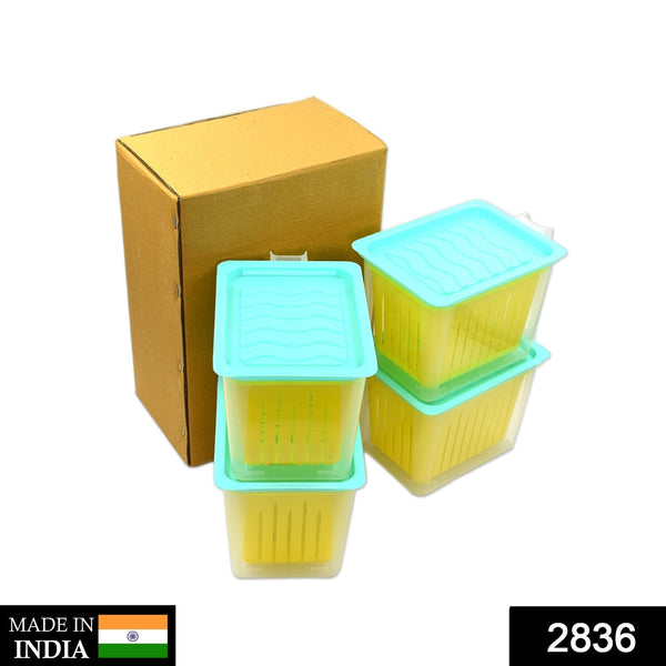 Fridge Storage Containers with Handle Plastic Storage Container for Kitchen(4 Pcs Set) F4Mart
