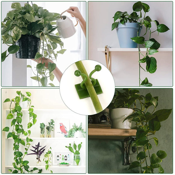 30pcs wall Plant Climbing Clip widely used for holding plants and poultry purposes and all. F4Mart