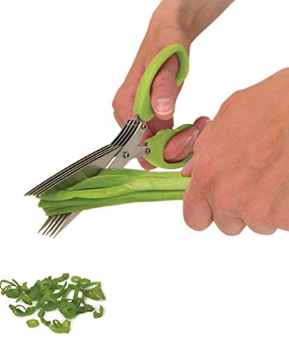 Multifunction Vegetable Stainless Steel Herbs Scissor With 5 Blades